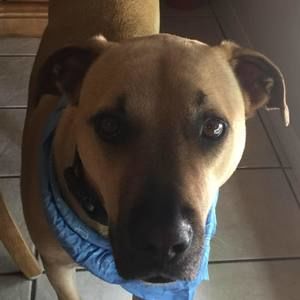 Meet your Posher, Jerry